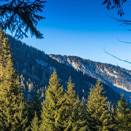 Claudia シャレー デマノブスカ・ドリーナ