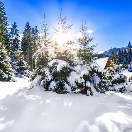 Claudia Demänovská Dolina